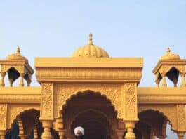 Desi Artists – Real Siblings Making Real Wedding